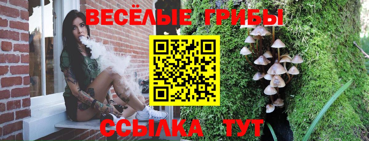 дарнет шоп  Вход с VPN  Северобайкальск  Псилоцибиновые грибы прущие грибы 