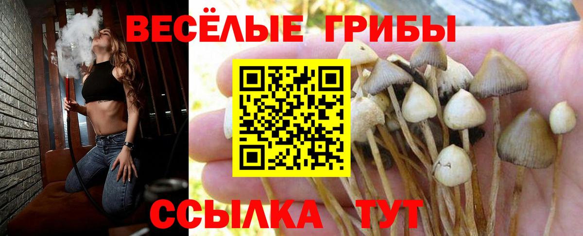 Галлюциногенные грибы GOLDEN TEACHER Северобайкальск